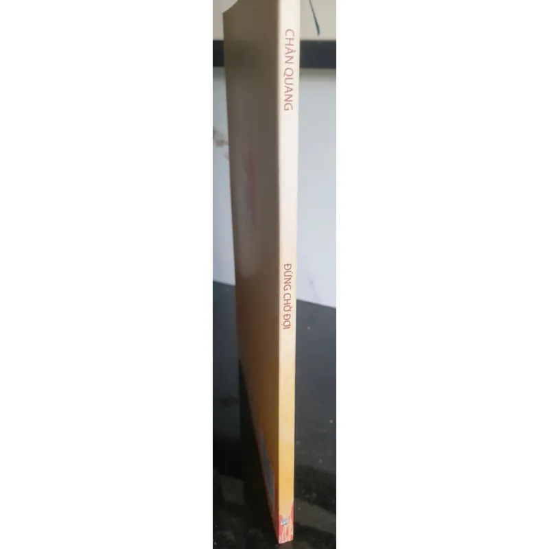 Sách Đừng Chờ Đợi... Don't wait... của Chân Quang in ấn đẹp 674687