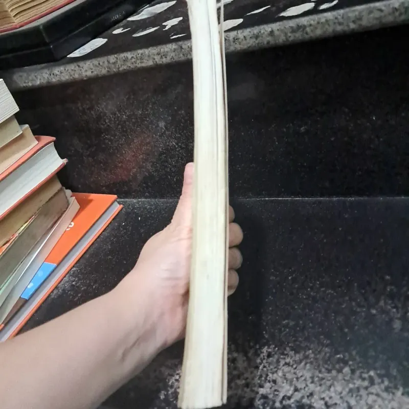 Tây Du Bổ- Đổng Thuyết 1027681