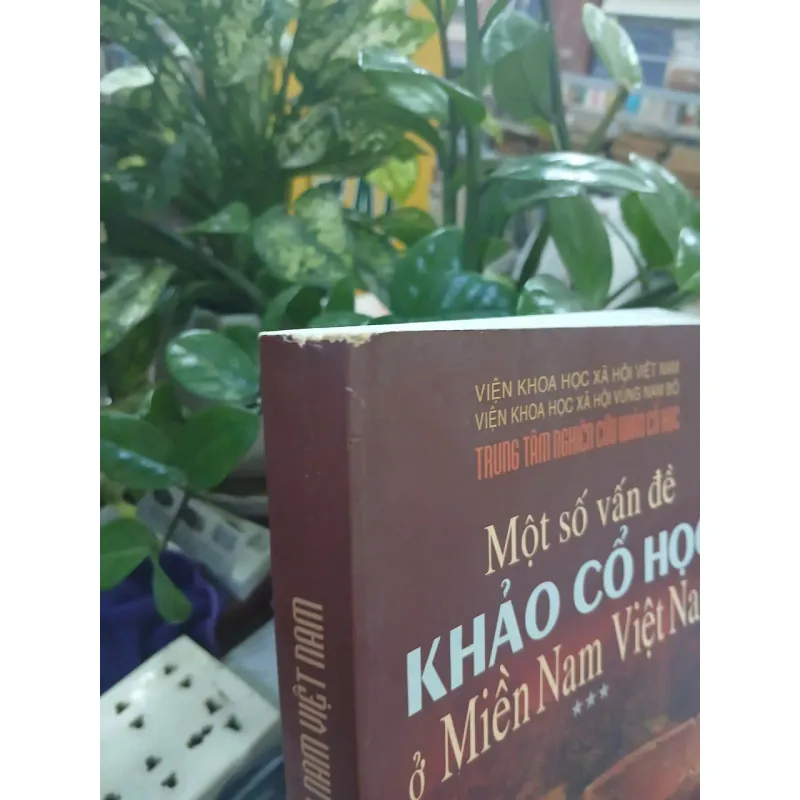 MỘT SỐ VẤN ĐỀ KHẢO CỔ HỌC Ở MIỀN NAM VIỆT NAM PHẦN 3 1033518