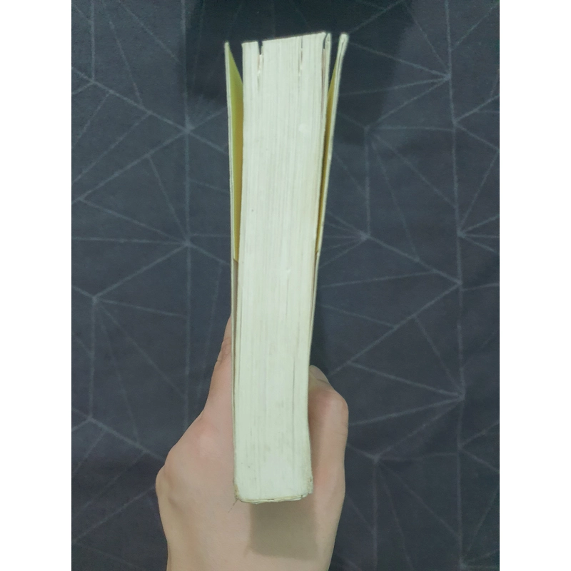 "Thái tử phi thăng chức ký" (tập 1) - Tiên Chanh 538922
