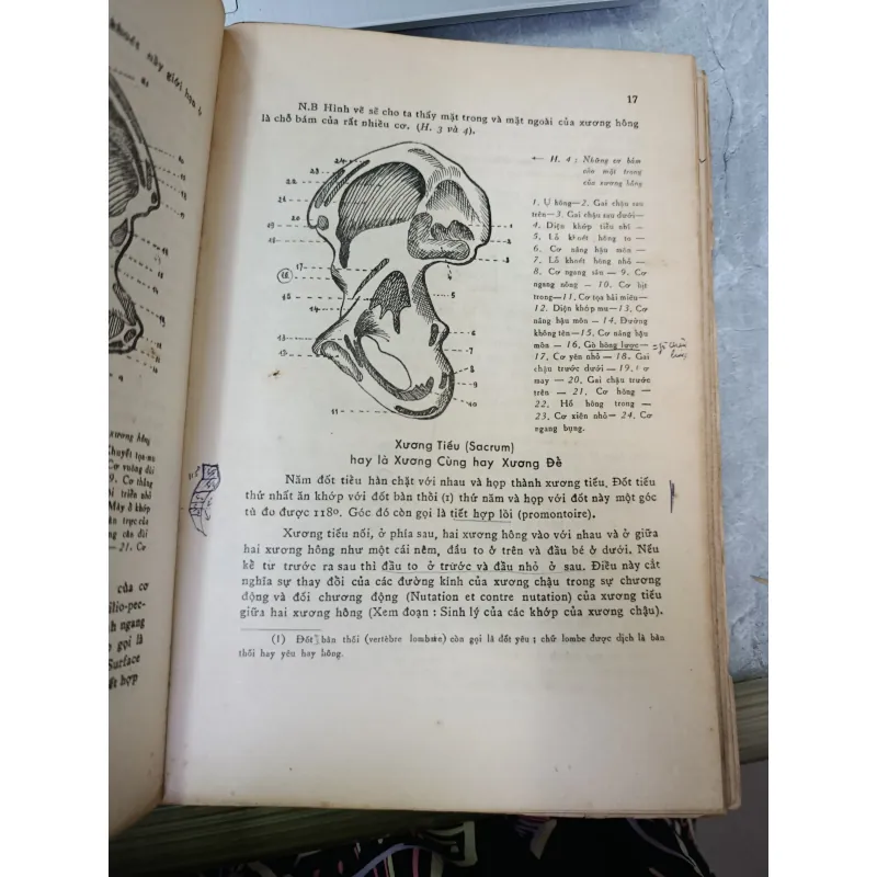 SẢN KHOA - BÁC SĨ: ĐẶNG HOÁ LONG 592052