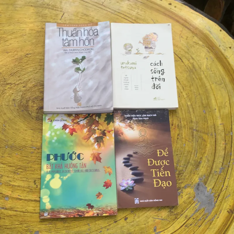 COMBO THUẦN HOÁ TÂM HỒN- CÁCH SỐNG TRÊN ĐỜI- ĐỂ ĐƯỢC TIẾN ĐẠO- PHƯỚC BẤT KHẢ HƯỞNG TẬN 779055
