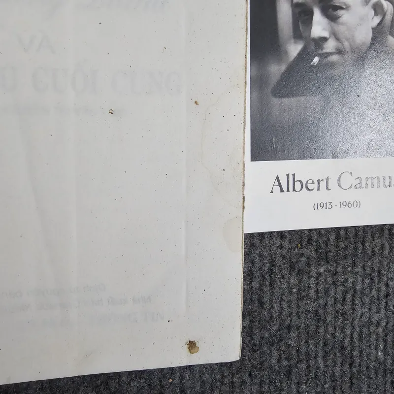 Diana và tình yêu cuối cùng 973174