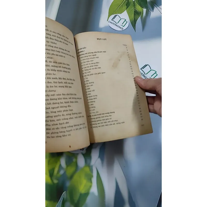 Những Bí Ẩn Trong Cuộc Đời Qua Khuôn Mặt & Bàn Tay - Khánh Vân - Mai Hoàng 776160