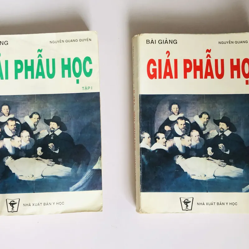 BỘ 2 TẬP GIẢI PHẪU HỌC ( NGUYỄN QUANG QUYỀN) 578170