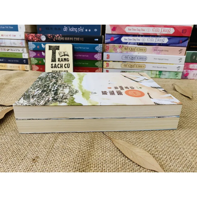 LẤY MỘT HOÀNG HẬU KHÔNG TRANH SỦNG 2,2 738493