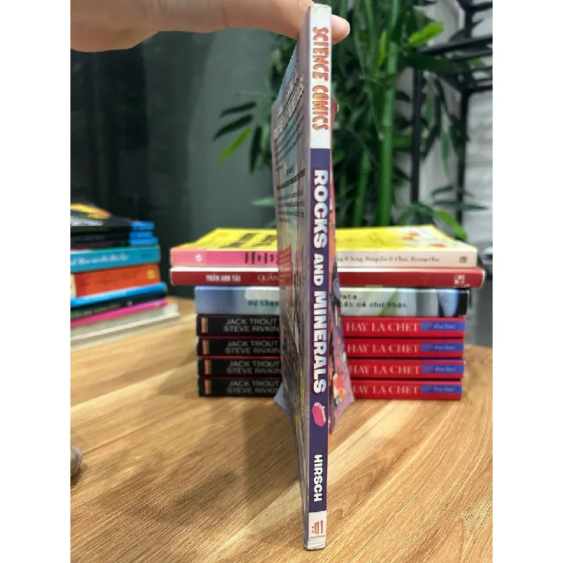 Science Comics: Rocks and Minerals 572425