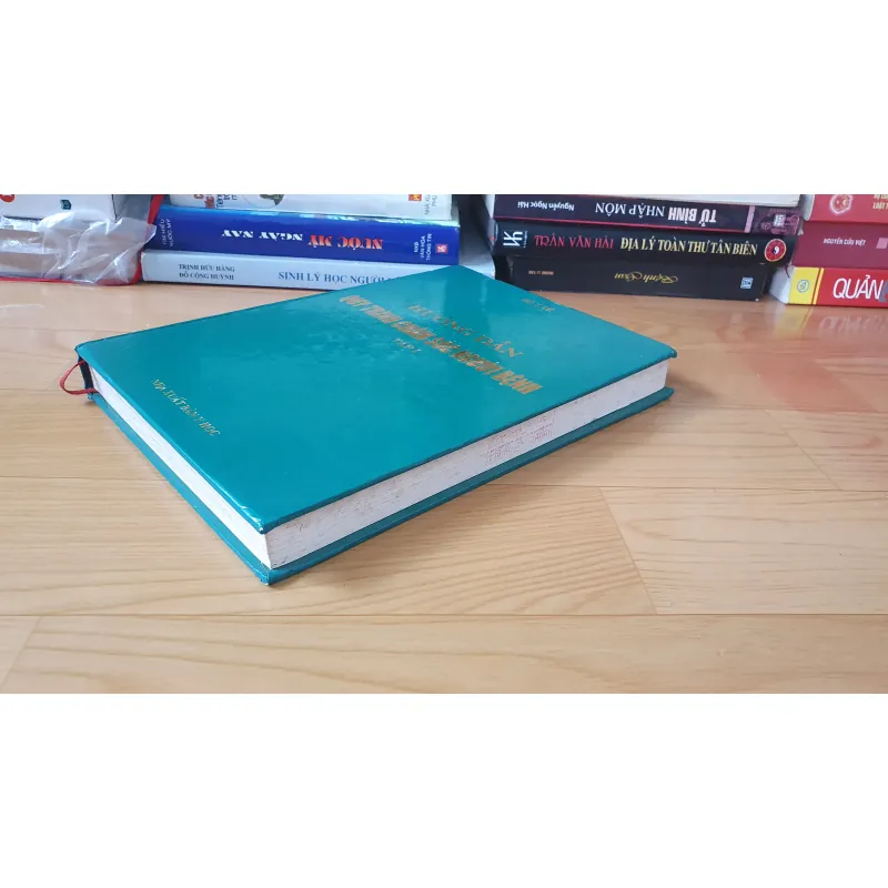 QUY TRÌNH CHĂM SÓC NGƯỜI BỆNH  754821