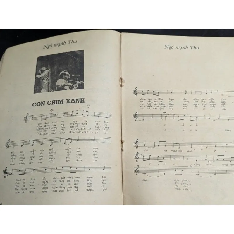 14 khuôn mặt du ca với những điều trông thấy 727093