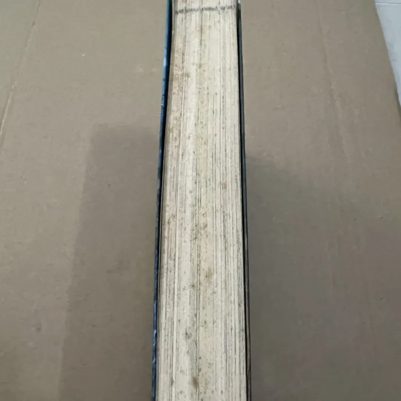 Những người gác đá 1047058