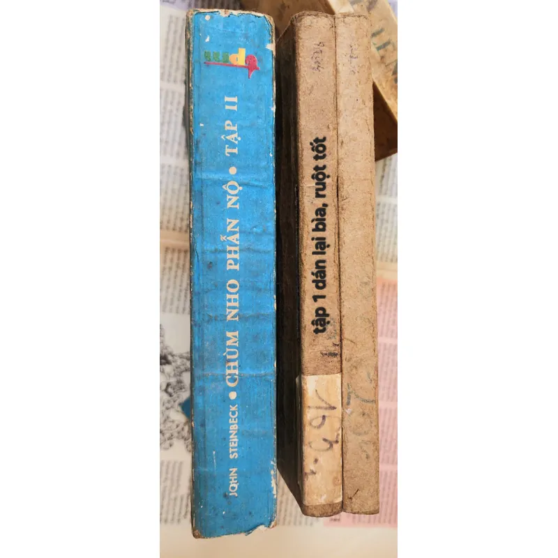 Tác phẩm kinh điển của John Steinbeck: CHÙM NHO PHẪN NỘ 705289