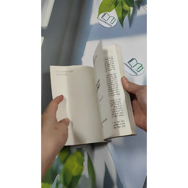 [XƯA] Các Tông Phái Đạo Phật (1995) - Đoàn Trung Còn 776150