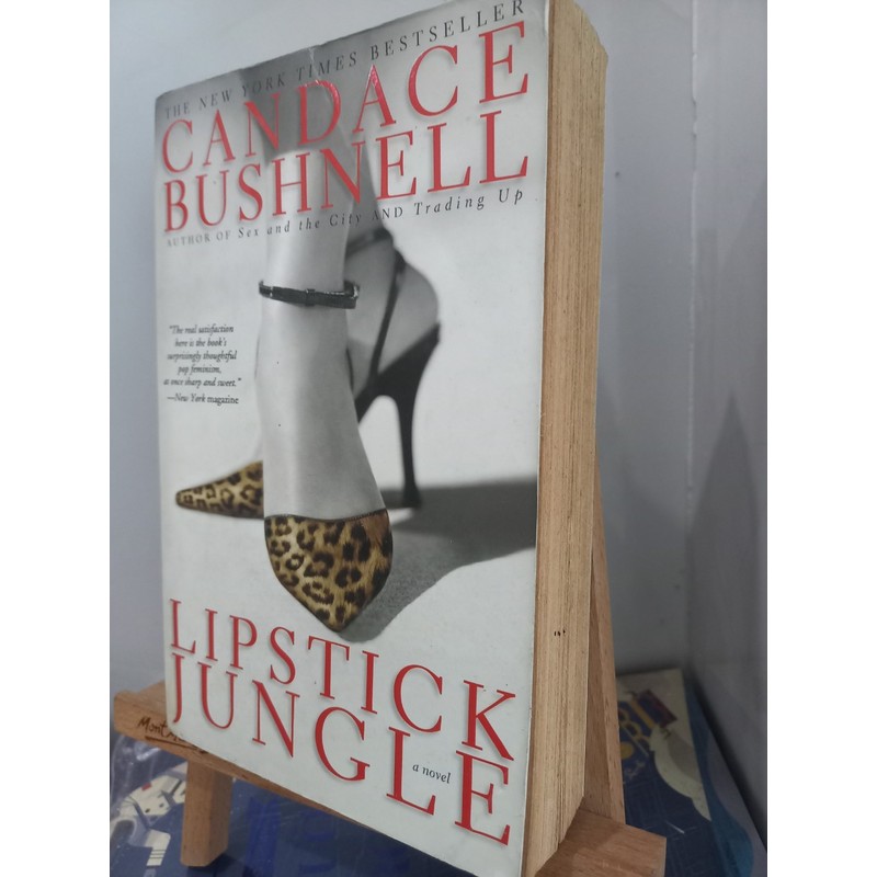 Lipstick Jungle by Candace Bushnell (author of Sex and the City) 193348