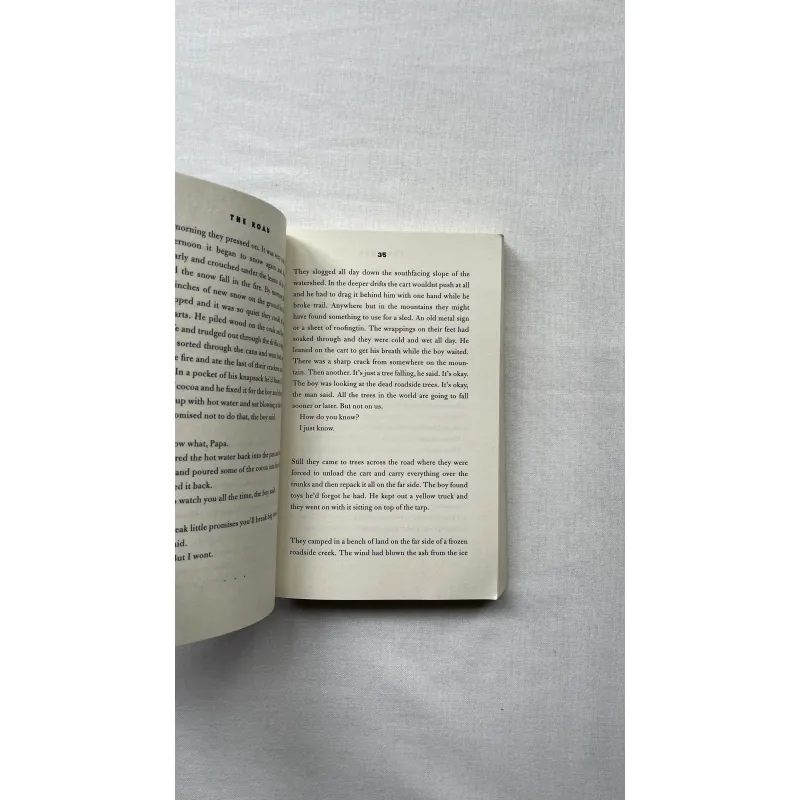 The Road - Cormac McCarthy  991917