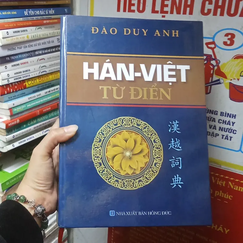 Từ Điển Hán - Việt - Đào Duy Anh  956985