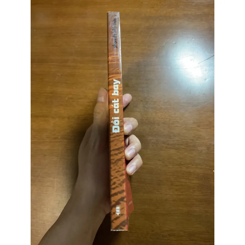 [XÃ HỘI] Đồi cát bay - Phạm Thị Bích Thuỷ 1035189