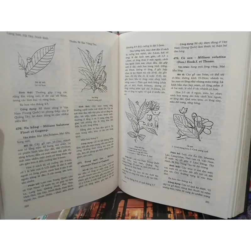 CÂY CỎ CÓ ÍCH Ở VIỆT NAM (TRỌN BỘ) - Võ Văn Chi 528968