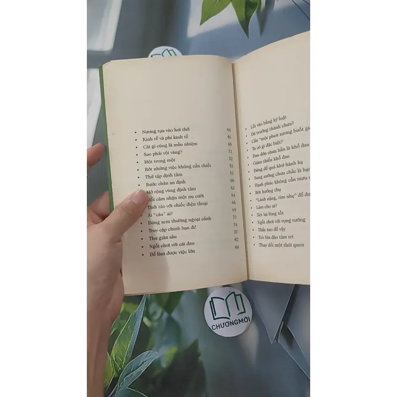 Làm Như Chơi - Minh Niệm 961252