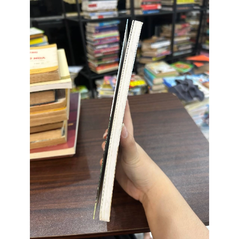 Thành Nhà Hồ: Di Tích Và Danh Thắng - Lê Khắc Tuế 936733