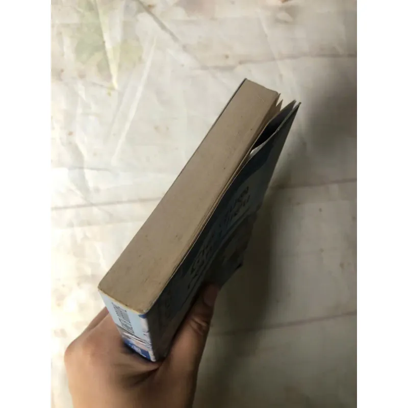 Sách cũ Gió Qua Rặng Liễu - Kenneth Grahame 800737