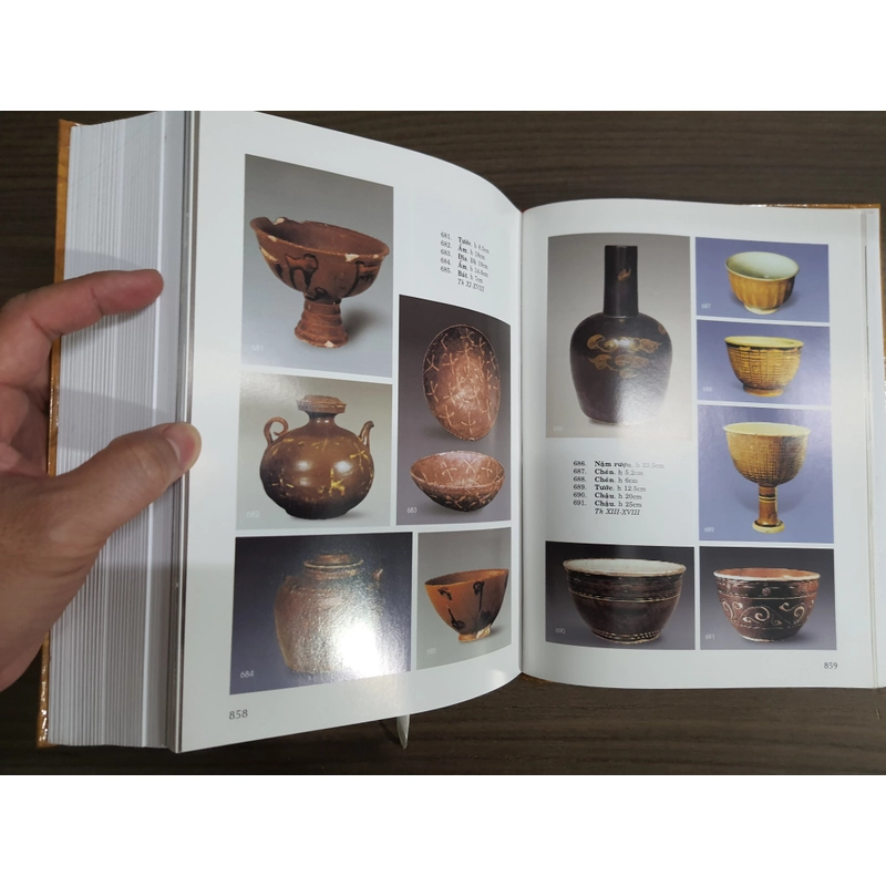 Gốm Việt Nam kỹ thuật và nghệ thuật - Trần Khánh Chương 549132