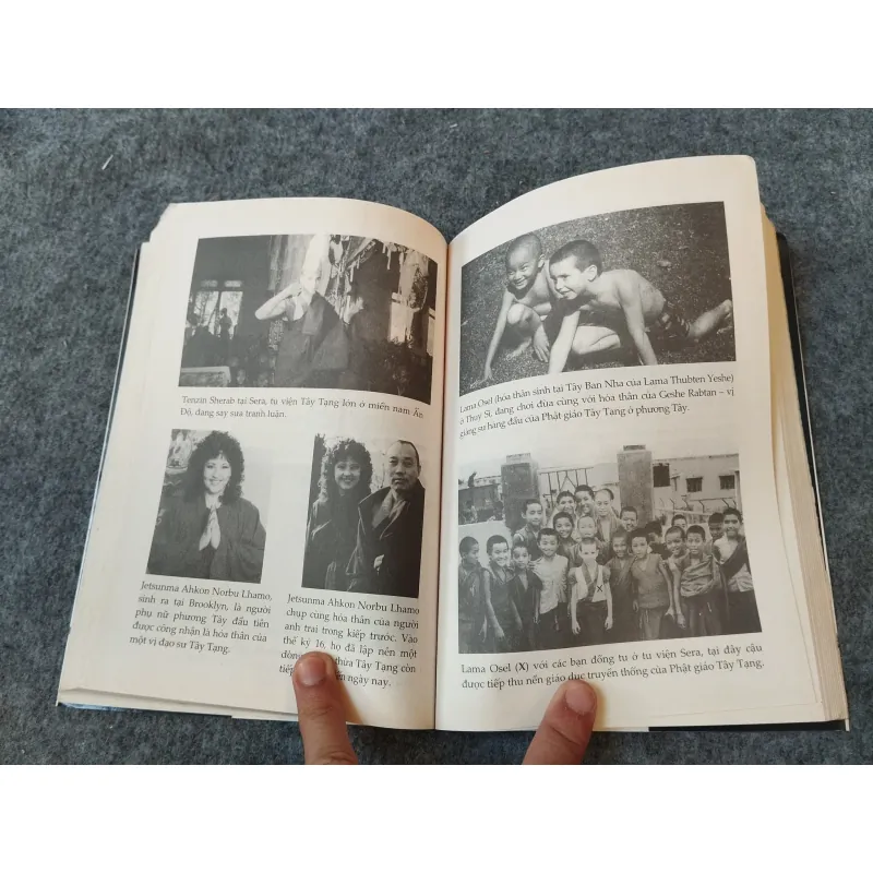 TÁI SINH Ở PHƯƠNG TÂY 719987