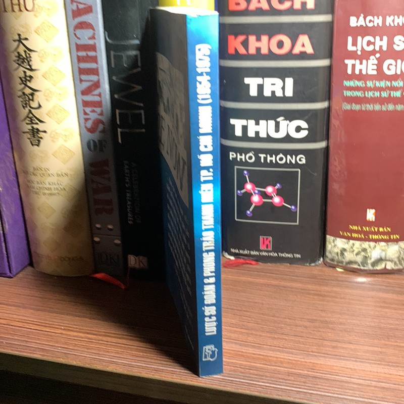 Lược sử Đoàn và phong trào thanh niên thành phố Hồ Chí Minh 187522