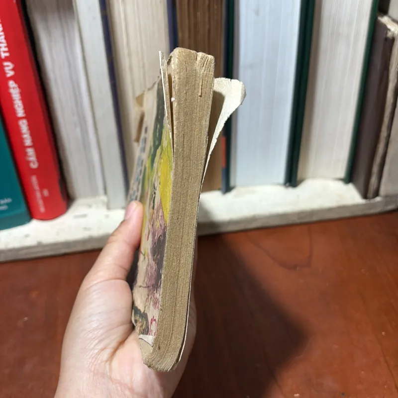 II Tập Truyện: Tình Yêu Có Màu Gì - Từ Kế Tường - 1987 751290