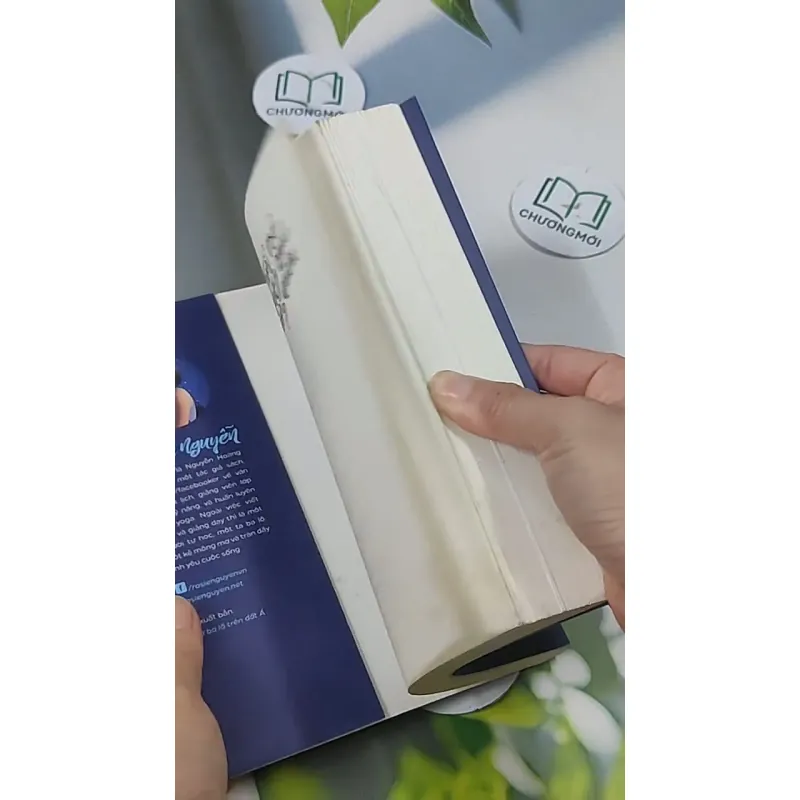 Tuổi Trẻ Đáng Giá Bao Nhiêu? 705622