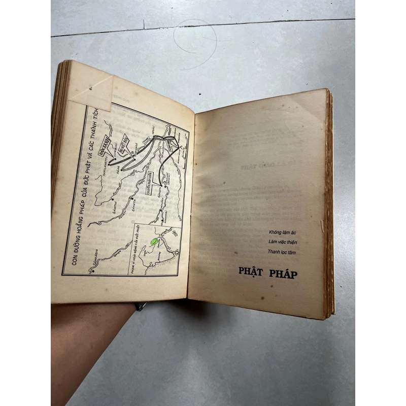 Đức Phật và Phật pháp - Narada - 1994s 530480