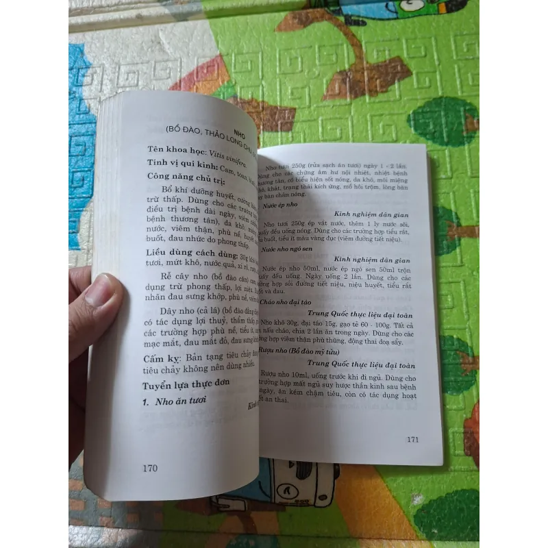 Ẩm thực liệu pháp: Thực đơn bồi bổ sức khỏe 974443