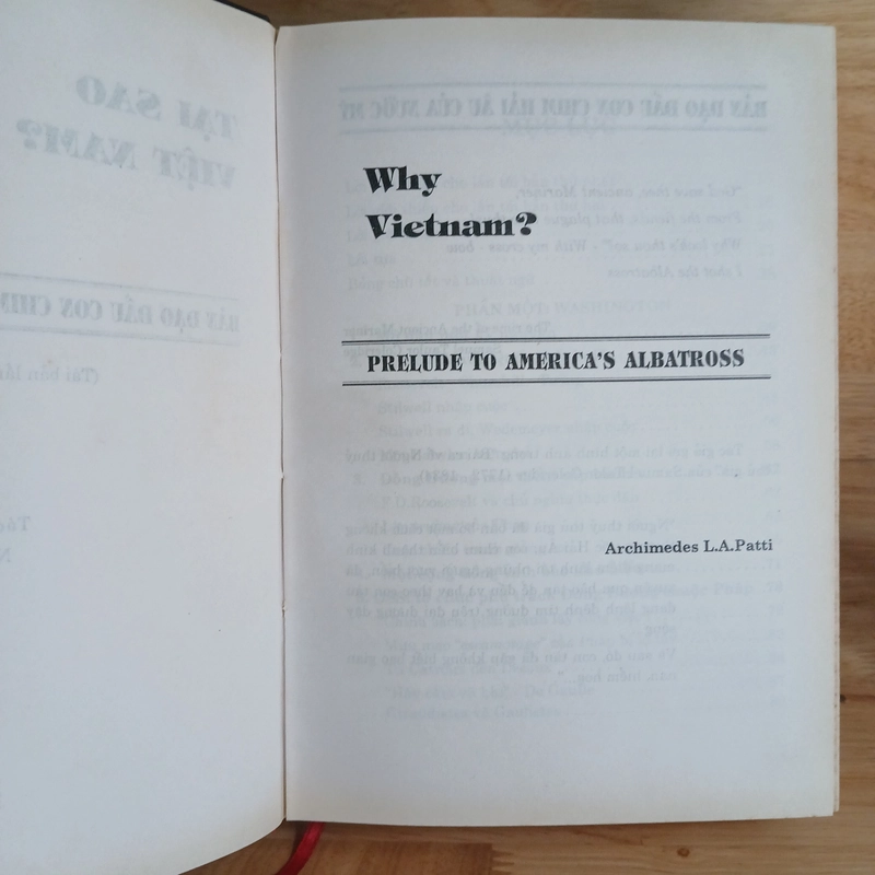 Why Vietnam? Tại Sao Việt Nam? - Archimedes L.A.Patti 406369