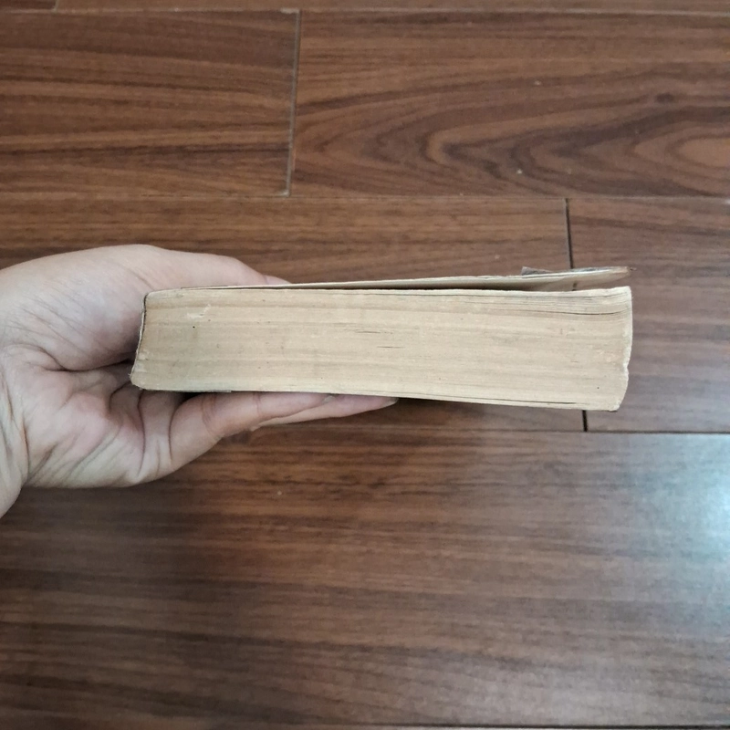 Cây đèn sắt 506762