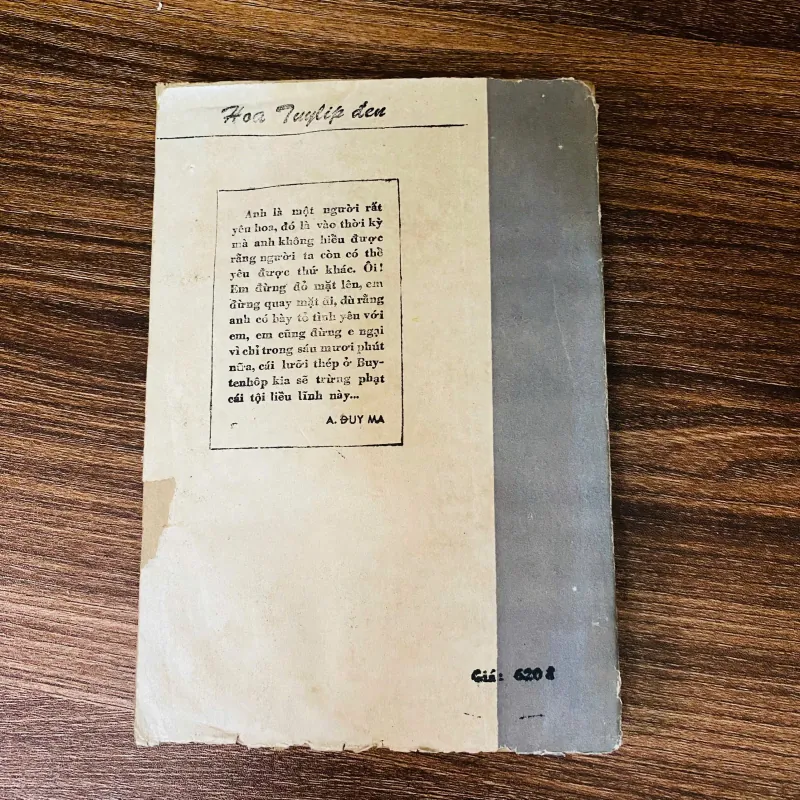 Hoa tuylip đen - A, Dumas 960882