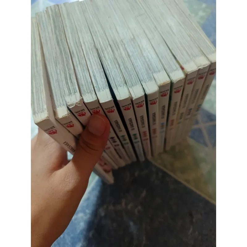 Con đường mùa xuân ( 13 tập) 975983