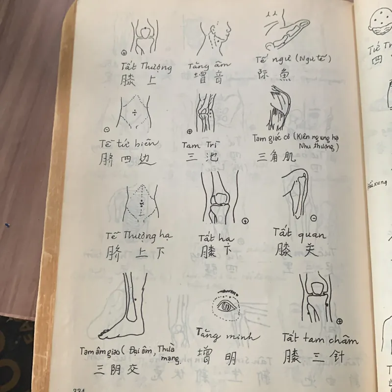 Hướng dẫn tra cứu châm cứu, Dương Trọng Hiếu 608243