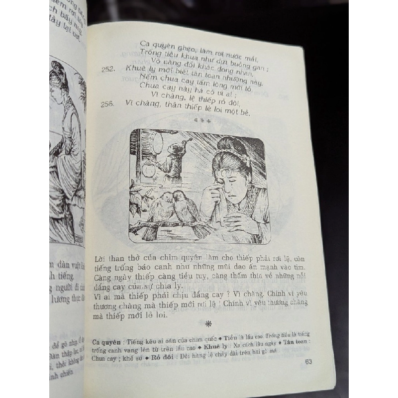 Chinh phụ ngâm khúc - Đặng Trần Côn - Đoàn Thị Điểm - Lý Thái Thuận diễn giải văn xuôi 326713