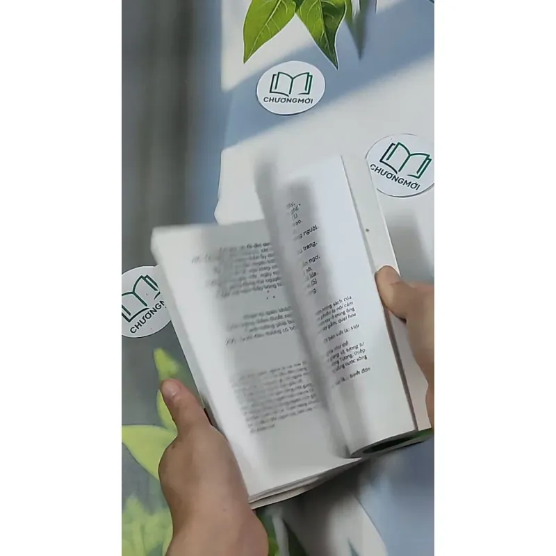 Truyện Kiều 698643