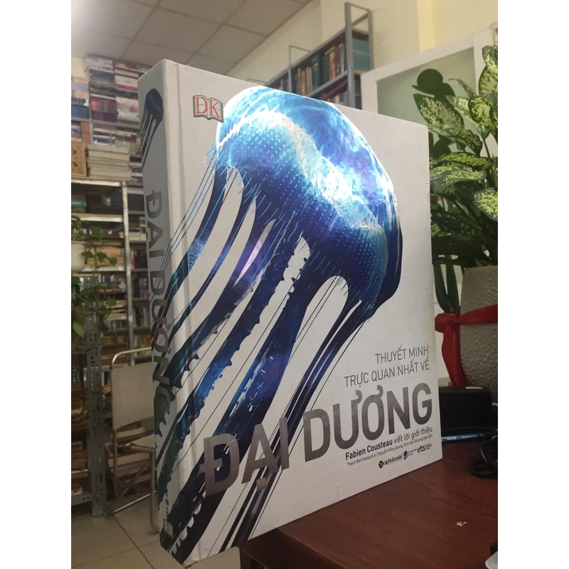 THUYẾT MINH TRỰC QUAN NHẤT VỀ ĐẠI DƯƠNG 523442