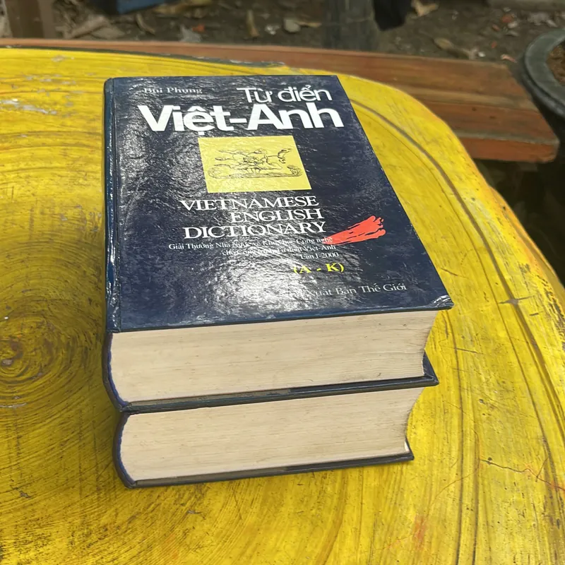 COMBO TỪ ĐIỂN ANH - VIỆT & TỪ ĐIỂN VIỆT - ANH - BÙI PHỤNG VÀ CỘNG SỰ 709309