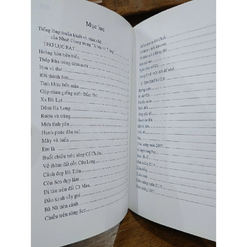 Rượu và trăng - Nhuệ Giang 505485