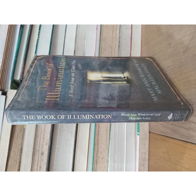 The Book of Illumination - Mary Ann Winkowski, Maureen Foley 708698