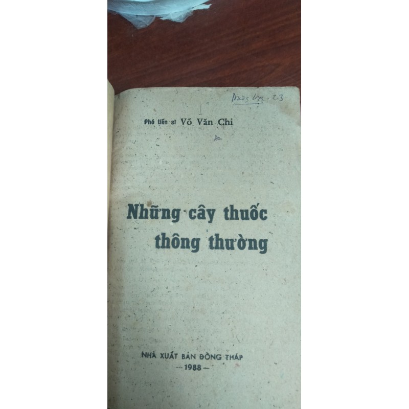 Những cây thuốc thông thường 193298