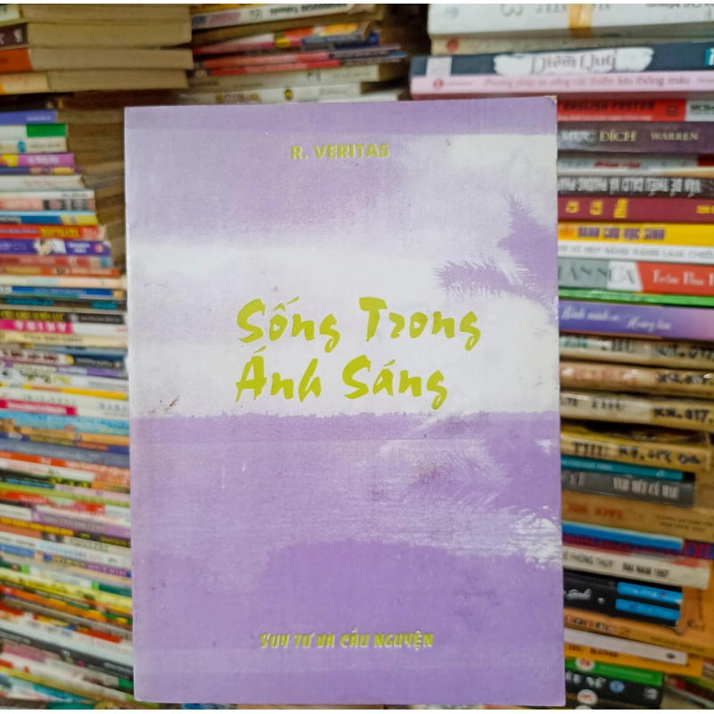 Sống trong ánh sáng 🌻 537637