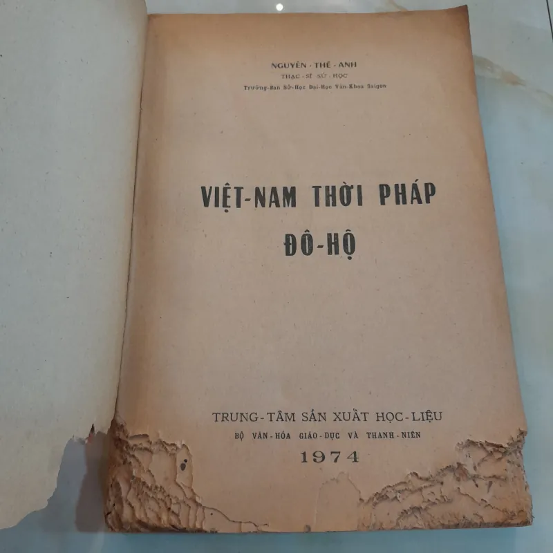 VIỆT NAM DƯỚI THỜI PHÁP ĐÔ HỘ - NGUYỄN THẾ ANH 752984