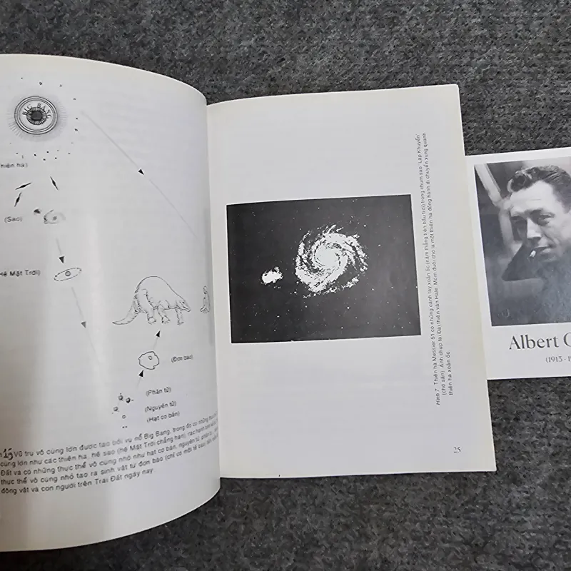 Lang thang trên dải ngân hà - nguyễn quang riệu 1004940