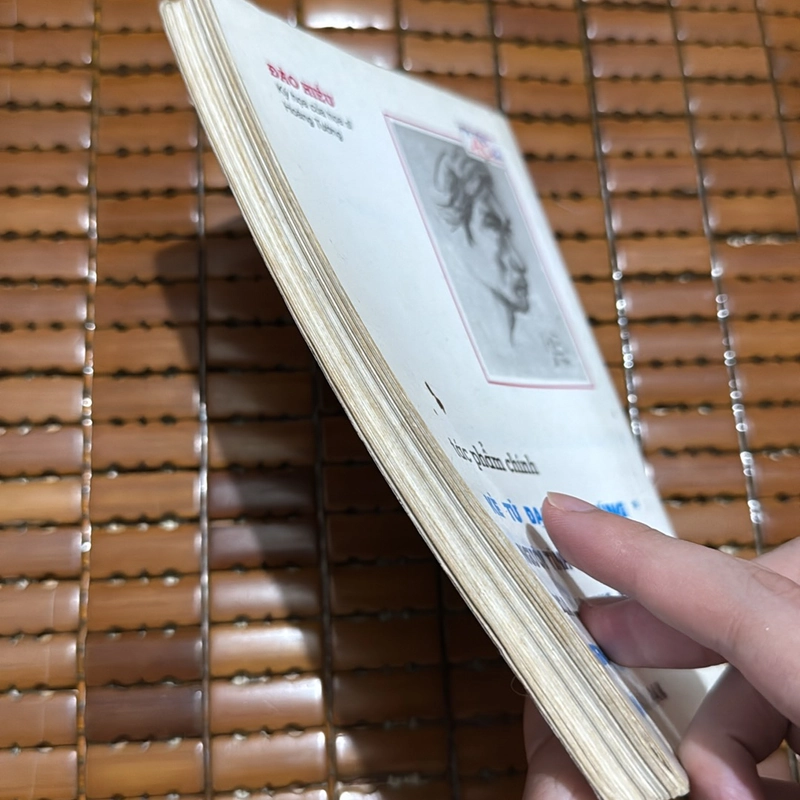 Vượt biển - Đào Hiếu 527036