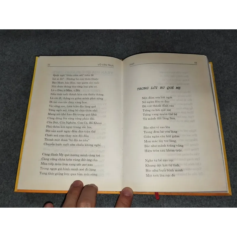 THƠ VÕ VĂN TRỰC 729319