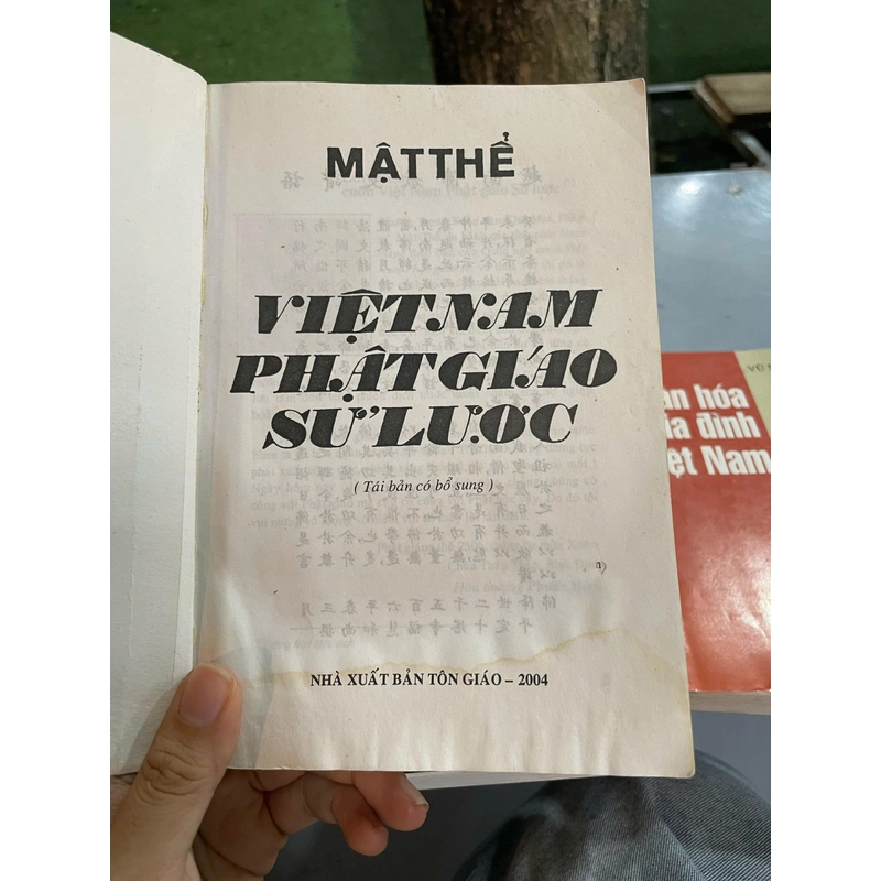 VIỆT NAM PHẬT GIÁO SỬ LƯỢC - MẬT THỂ 446251