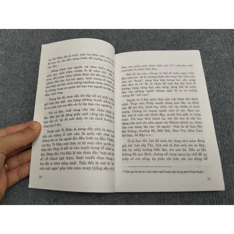 CÂY ĐÀO TÔ HIỆU - VIẾT LINH 990645